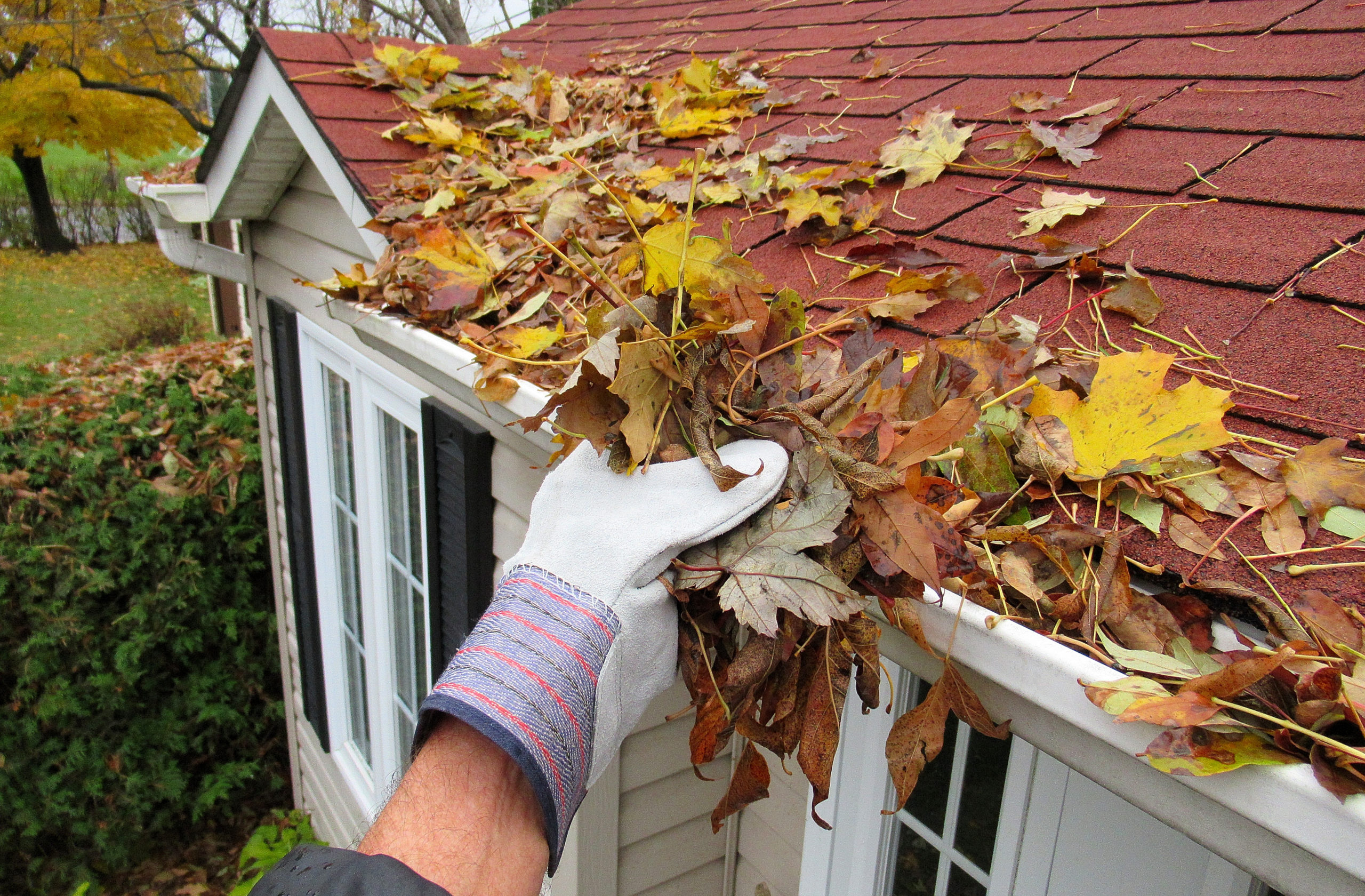 Spring Clean your Finances